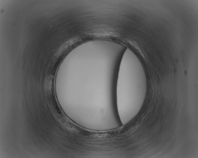 X0000086220495200703291007