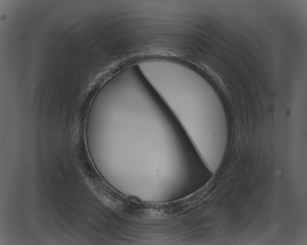 X0000086220496200703291007