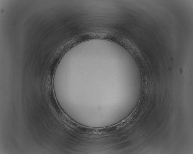 X0000086220498200703291007