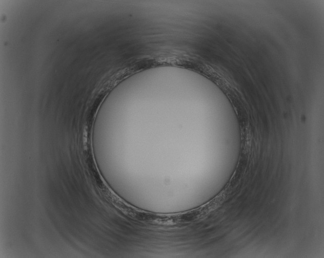 X0000086220502200703291007