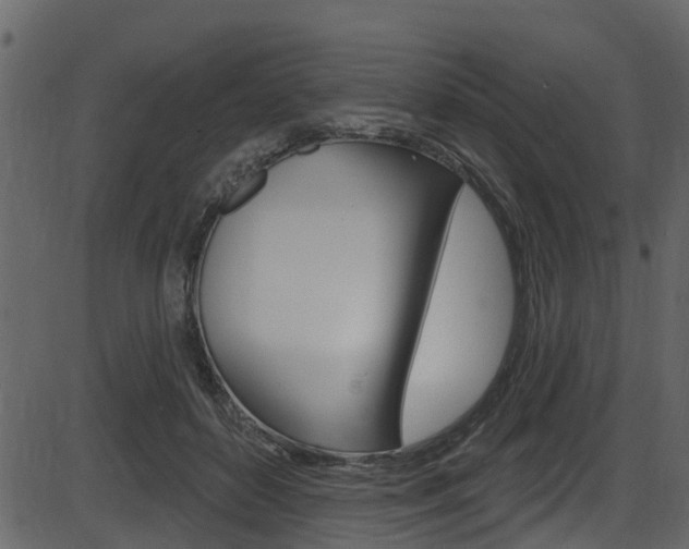 X0000086220504200703291007