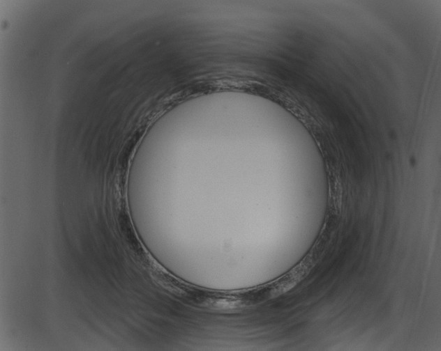 X0000086220506200703291007