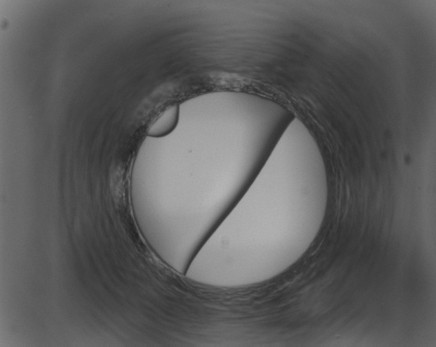 X0000086220511200703291007