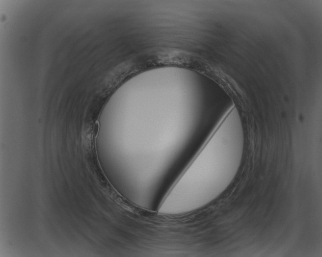 X0000086220513200703291007