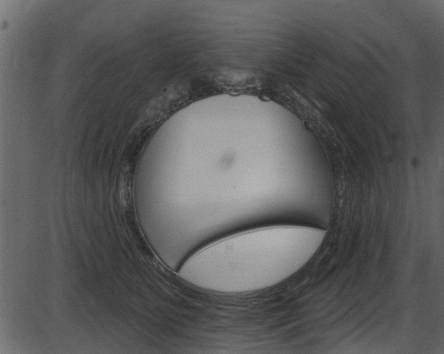 X0000086220515200703291007