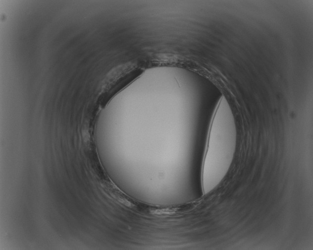 X0000086220516200703291007