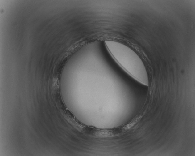 X0000086220521200703291007