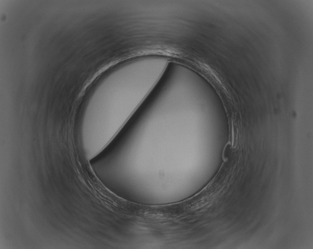 X0000086220531200703291006