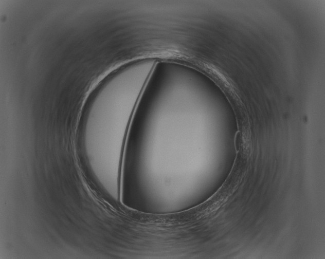 X0000086220532200703291006