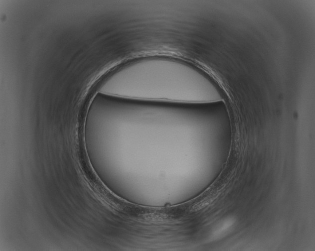 X0000086220535200703291006