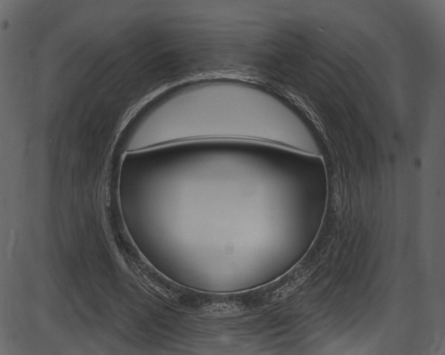 X0000086220536200703291006