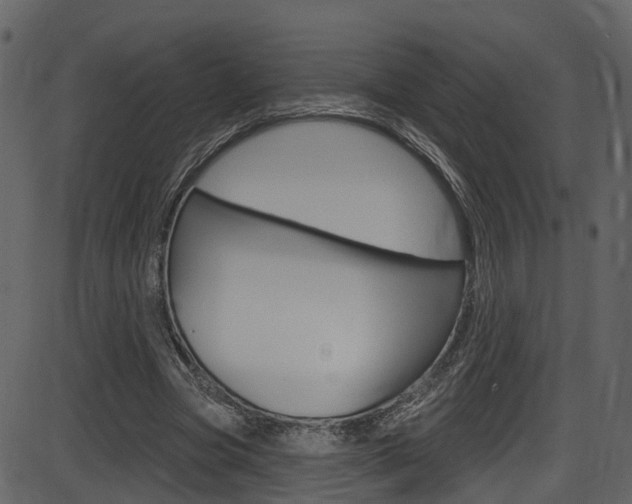 X0000086220537200703291006