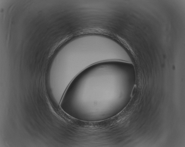 X0000086220538200703291006
