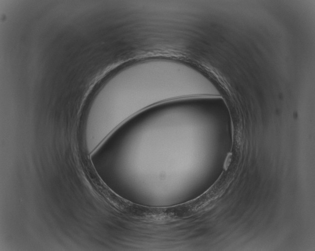 X0000086220540200703291006