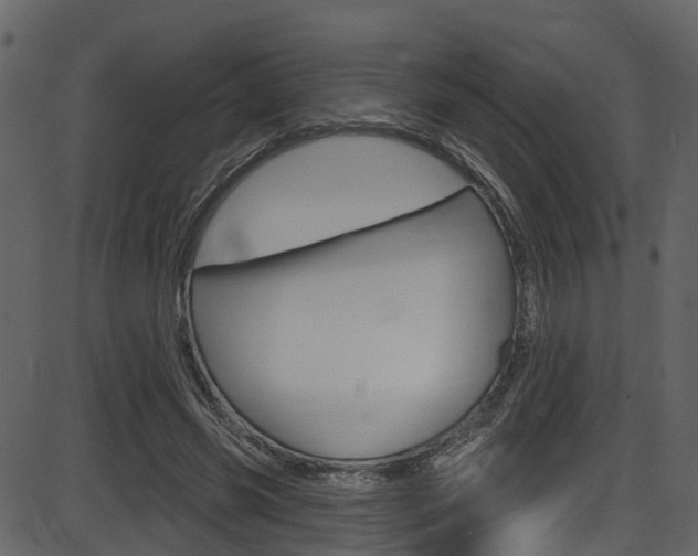 X0000086220541200703291006