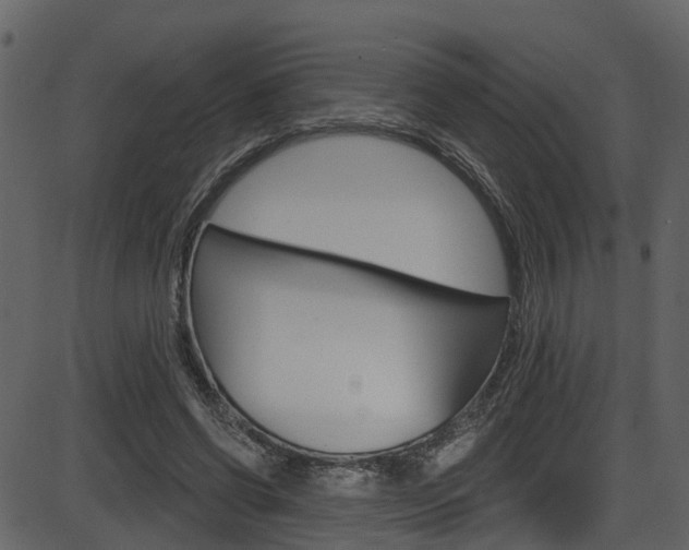 X0000086220542200703291006