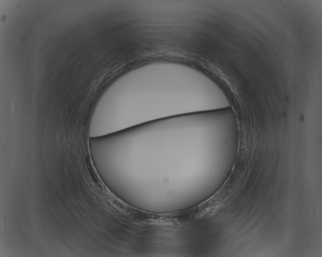 X0000086220545200703291006