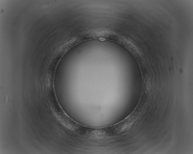 X0000086220546200703291006