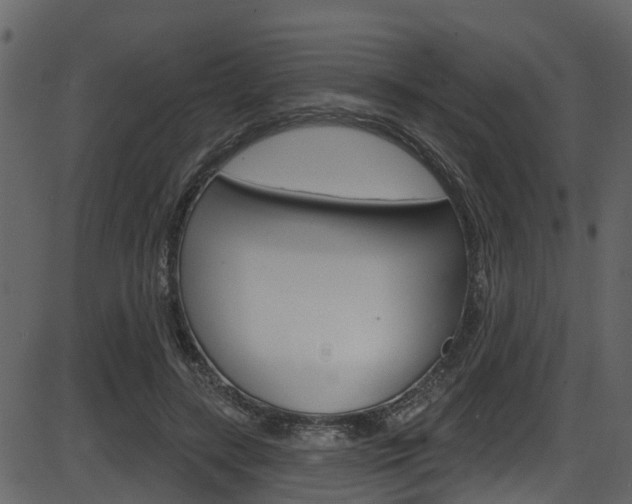 X0000086220547200703291006