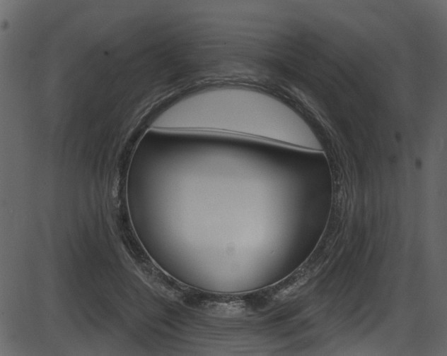 X0000086220548200703291006