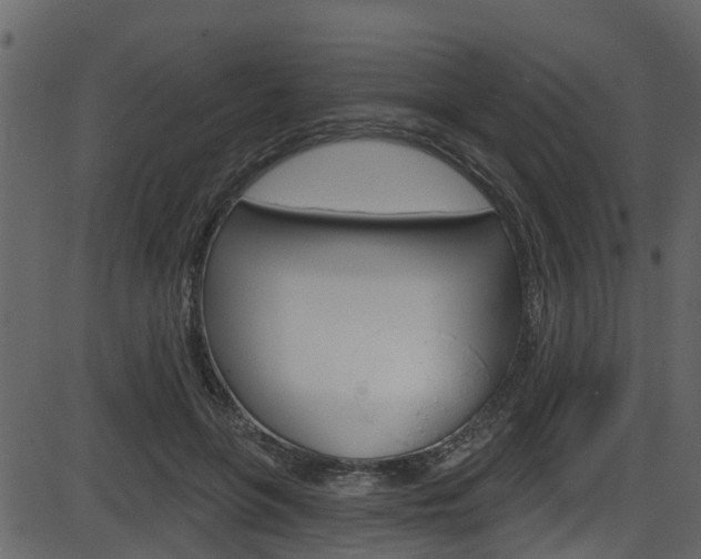 X0000086220551200703291006
