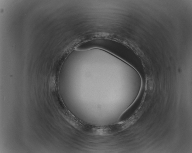 X0000086220564200703291007
