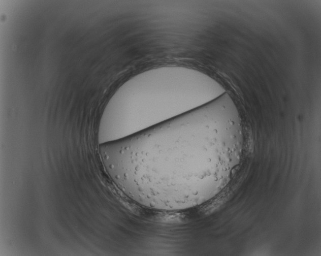 X0000086220569200703291007