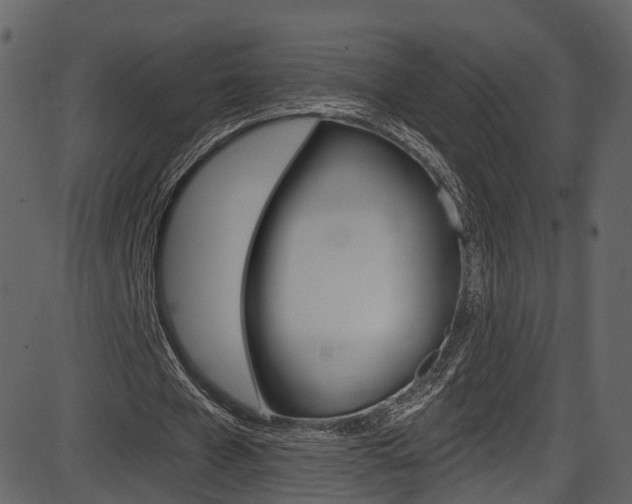 X0000086220577200703291006