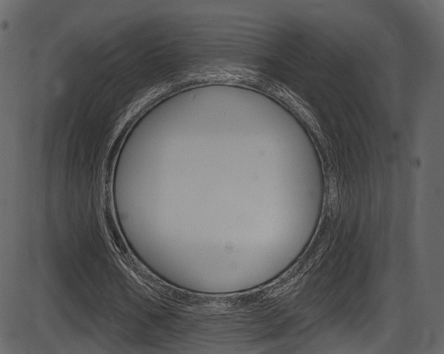 X0000086220578200703291006