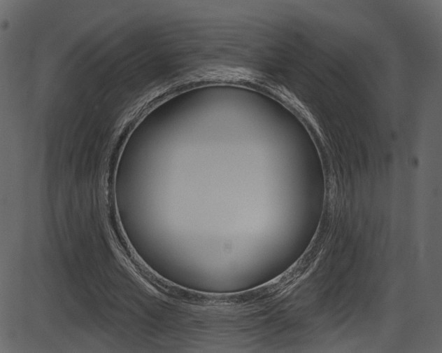 X0000086220581200703291006