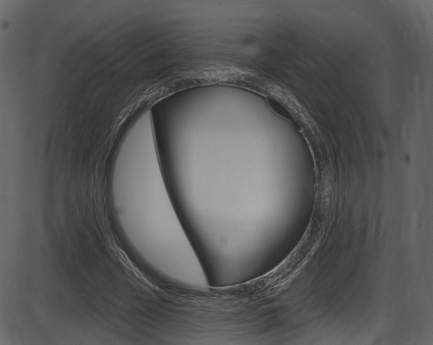 X0000086220585200703291006