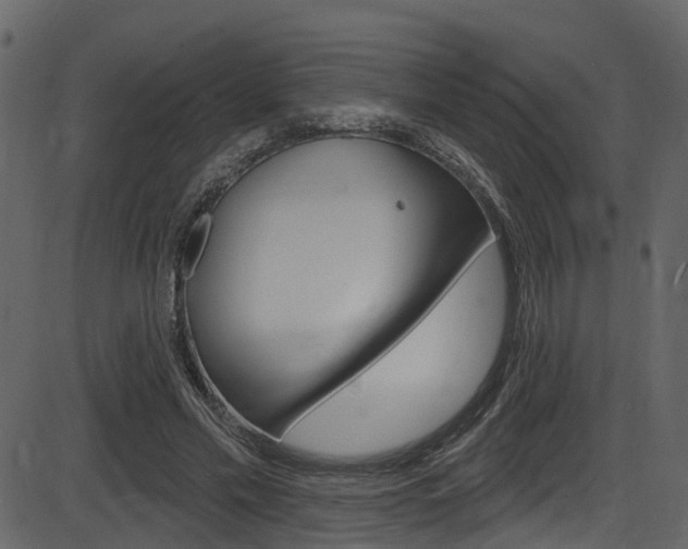 X0000086220589200703291006
