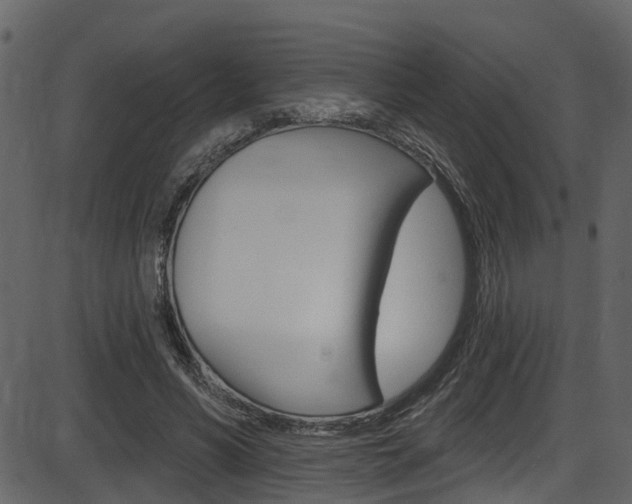 X0000086220590200703291006