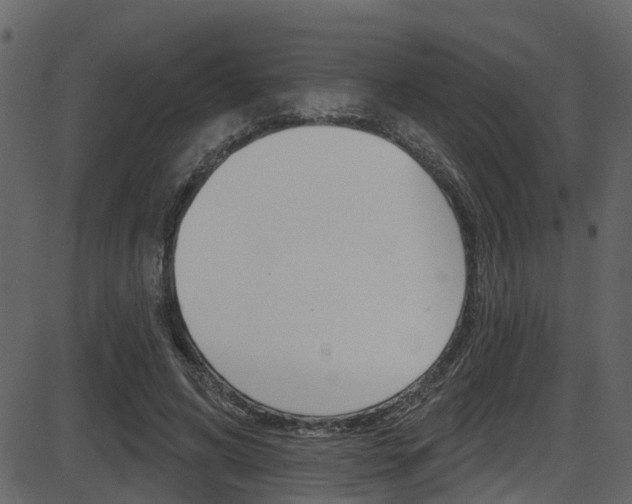 X0000086220592200703291006