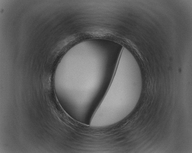 X0000086220596200703291006
