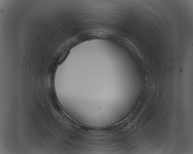X0000086220597200703291006