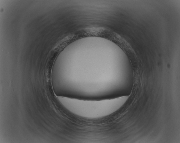 X0000086220599200703291006