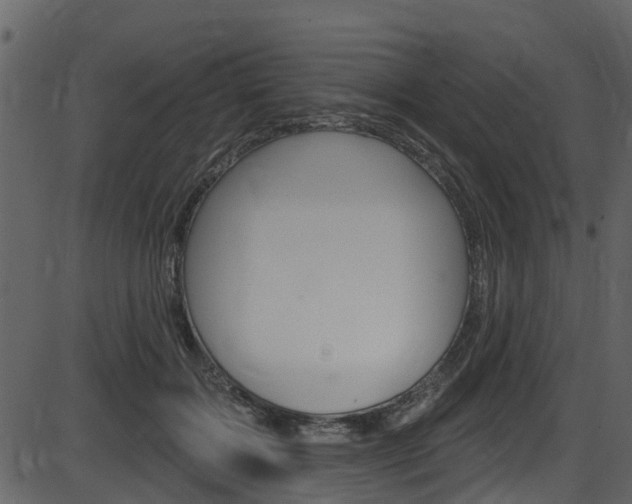 X0000086220603200703291006
