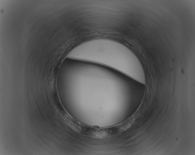 X0000086220604200703291005