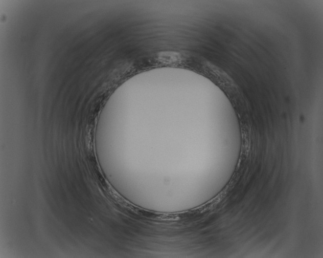 X0000086220606200703291005