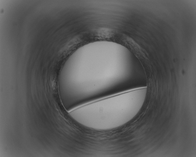 X0000086220608200703291005