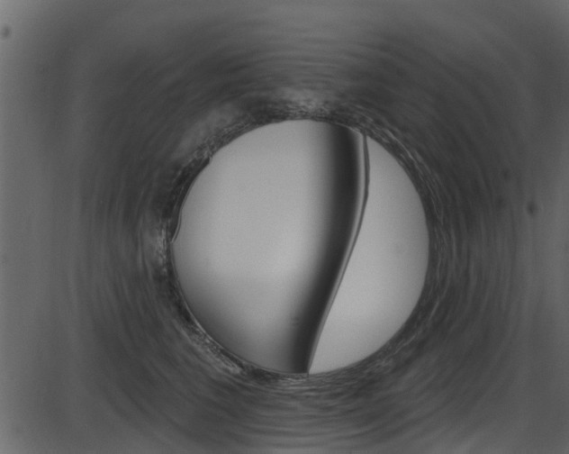 X0000086220613200703291005
