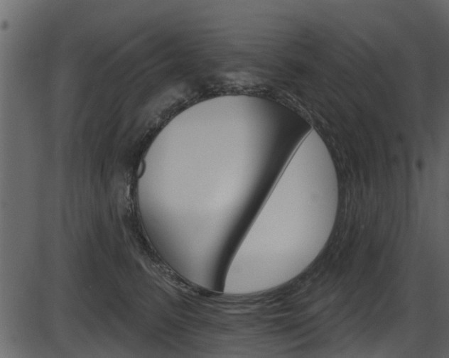X0000086220615200703291005