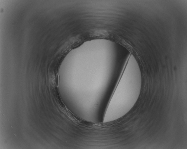 X0000086220617200703291005