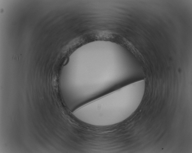 X0000086220619200703291005