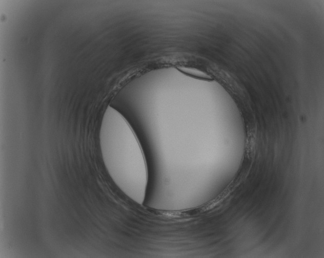 X0000086220623200703291005