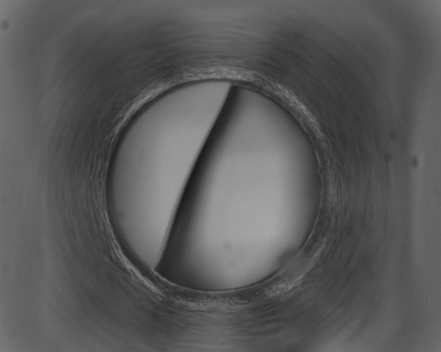X0000086220625200703291004