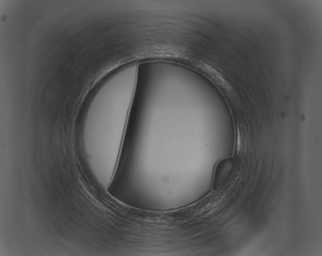 X0000086220627200703291004