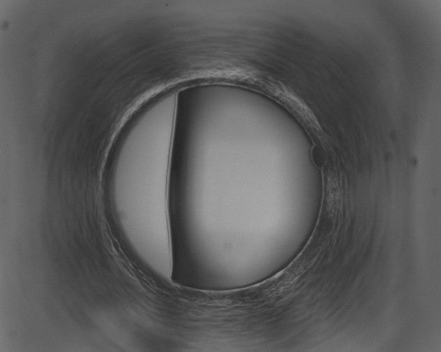 X0000086220628200703291004