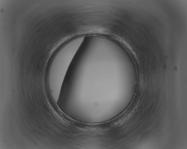 X0000086220629200703291004